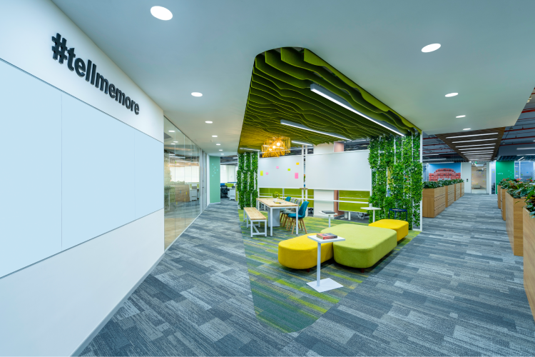 biophilia in office design